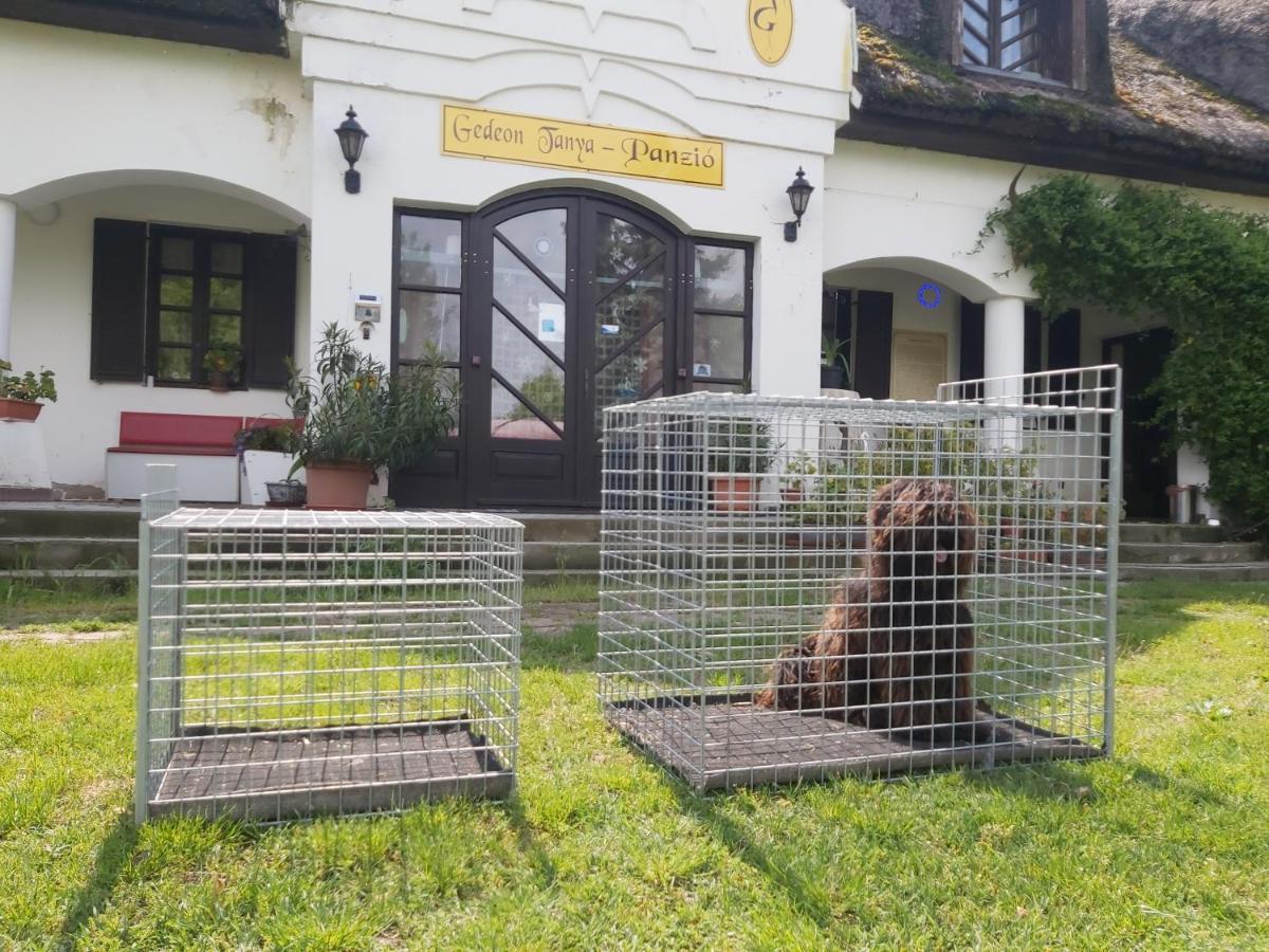 Gedeon Tanya Panzió Jakabszallas Exterior foto